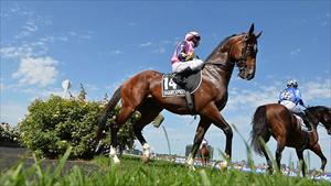 Shamexpress sizzles in jumpout